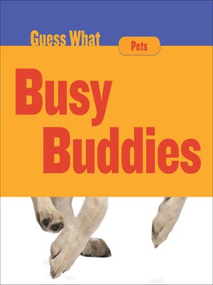 cover image of Busy Buddies